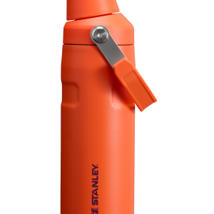 IceFlow™ Bottle with Fast Flow Lid